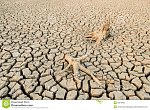 our world water shortage global warming problem causes droughts shortages food 50519936